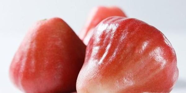 莲雾的功效与作用及食用方法