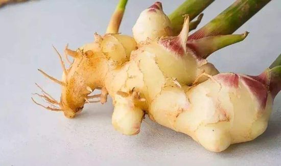 生姜出芽还可以吃么