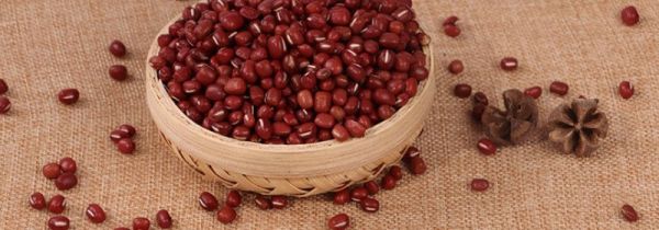 赤豆和赤小豆一样吗
