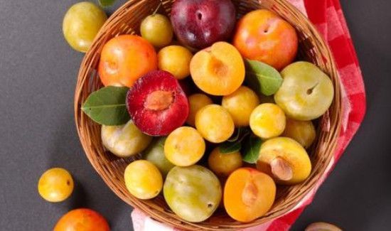 鸡蛋和李子一起吃行吗