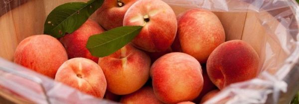 晚上能吃桃子吗?