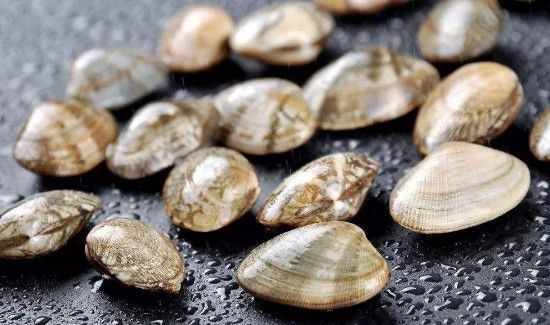 花甲怎么保存过夜