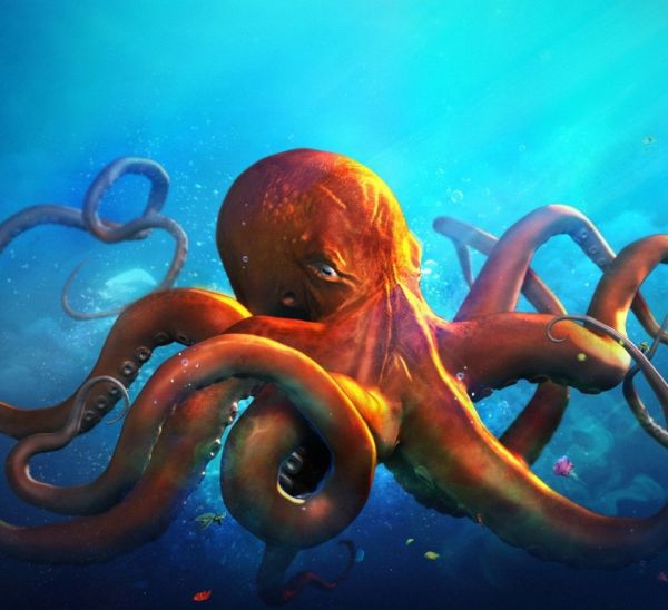 哪两种动物被称为海洋变色龙？