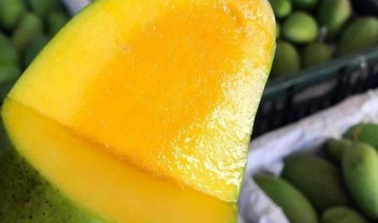 芒果青色的可以吃吗