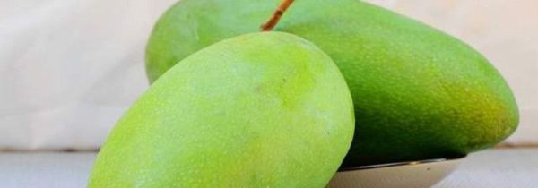 芒果青色的可以吃吗