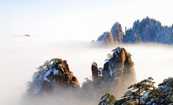 黄山四绝分别是什么？