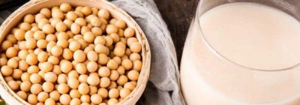 破壁机打豆浆需要过滤吗