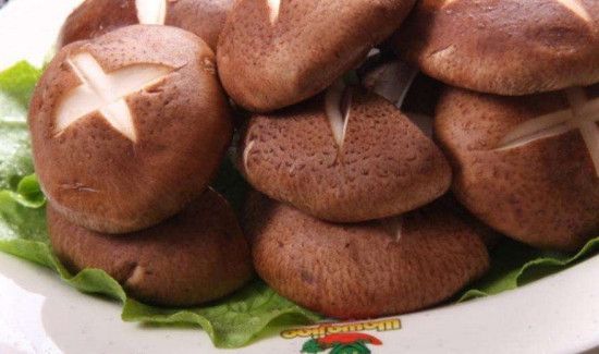 茄子和香菇能一起吃吗