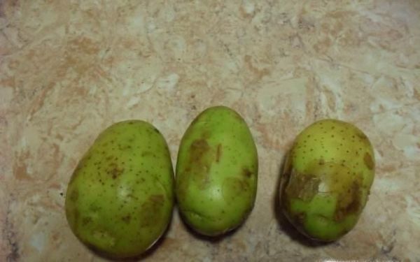 土豆放的时间长了发绿了,能吃吗?