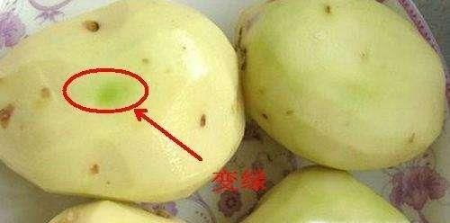土豆放的时间长了发绿了，能吃吗？