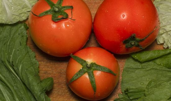 西红柿怎样保存过冬天还能吃