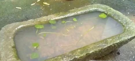 防蚊驱虫有什么好招？