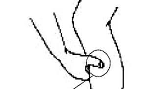 足三里穴位位置图和作用