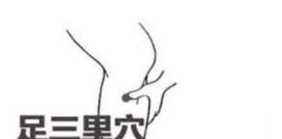 足三里穴位位置图和作用