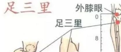 足三里穴位位置图和作用