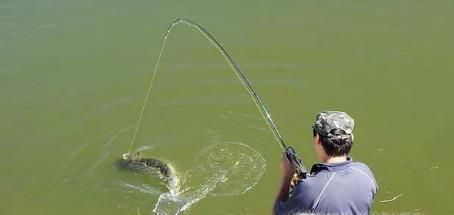 钓鱼有哪些技巧？