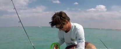 钓鱼有哪些技巧？