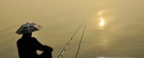 钓鱼有哪些技巧？