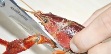 如何清洗干净小龙虾？