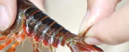 如何清洗干净小龙虾？