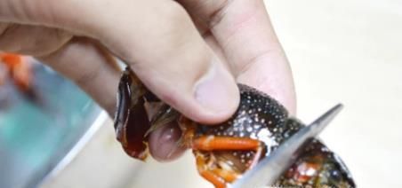 如何清洗干净小龙虾？