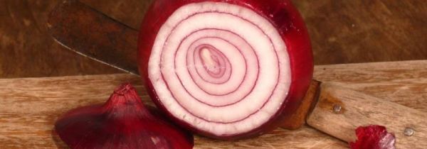 冬瓜和洋葱可以一起炒着吃吗