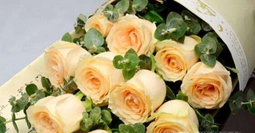 不同颜色的玫瑰代表什么含义呢