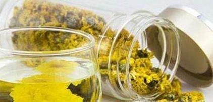 菊花茶的功效与禁忌