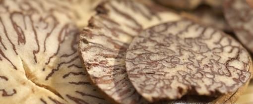 常吃槟榔的好处和危害