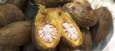 常吃槟榔的好处和危害