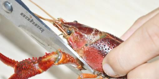 小龙虾怎么清洗