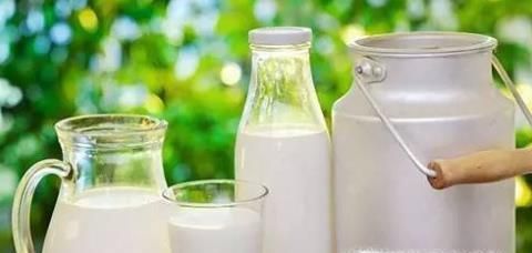 牛奶不能和什么一起吃