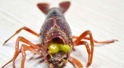 小龙虾怎么清洗