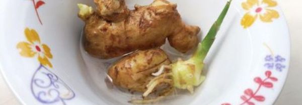 姜绿皮了还能吃吗