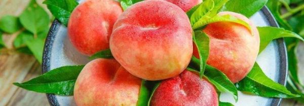 蟠桃不能和什么同时吃