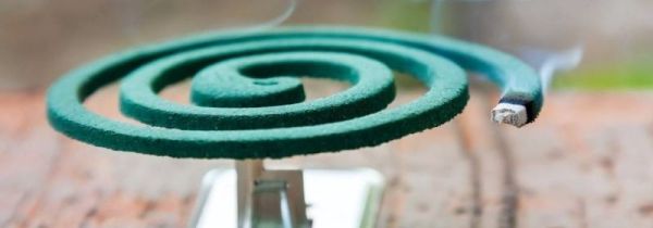 蚊香可以杀死跳蚤吗