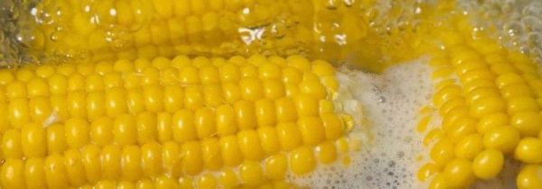 煮熟玉米放冰箱第二天能吃吗