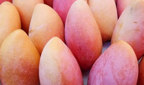 彩虹芒果硬的可以吃吗