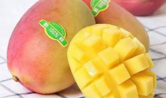 彩虹芒果硬的可以吃吗
