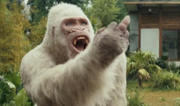 竖中指的由来？