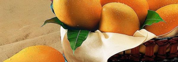 芒果有油漆味是怎么回事