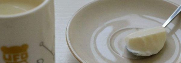 小熊酸奶机怎么使用