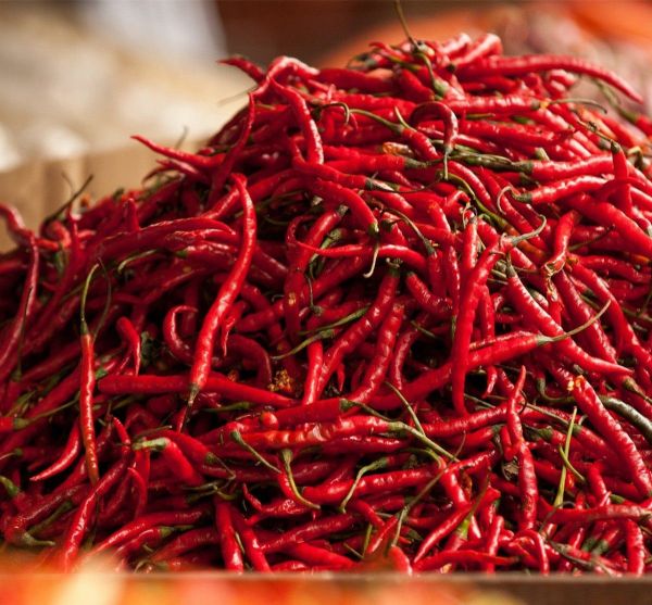 辛辣的辛是什么意思？