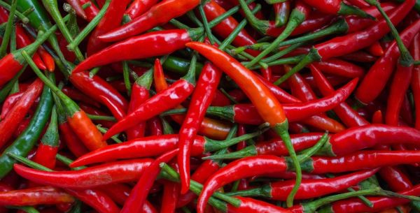 辛辣的辛是什么意思？