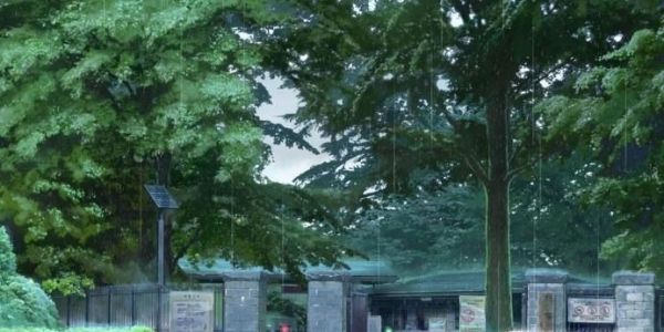 下雨前动物有哪些征兆