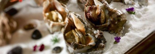 海螺哪个部位不能吃