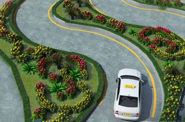 驾照科目二考什么