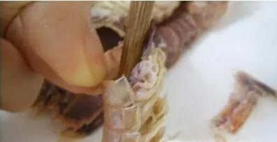 怎样正确吃皮皮虾？