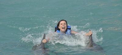 海豚为什么会救人？