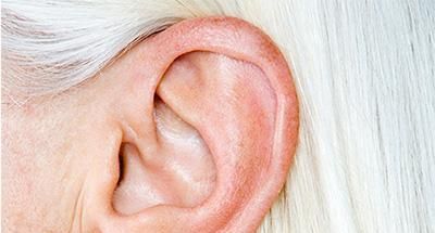 为什么耳朵最怕冷?